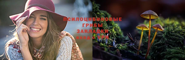 a pvp Краснослободск