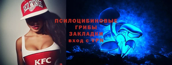 крисы Гусев