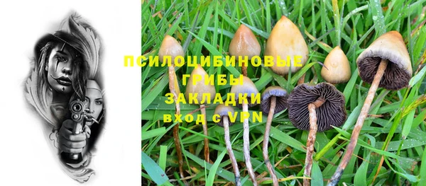 крисы Гусев