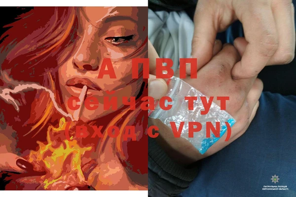 крисы Гусев