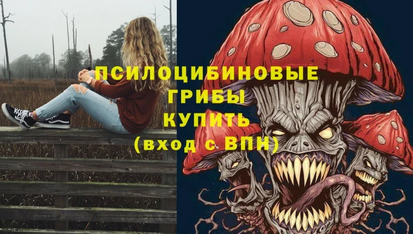 крисы Гусев