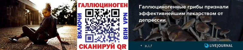 маркетплейс официальный сайт  Сенгилей  Псилоцибиновые грибы GOLDEN TEACHER 